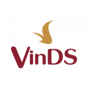Công Ty TNHH Kinh Doanh TM&DV VinDS (Vingroup)