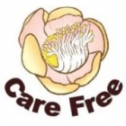 Công ty TNHH Một Thành Viên Thương Mại Vô Ưu