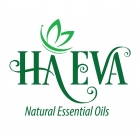 Công ty cổ phần quốc tế Silent Night 