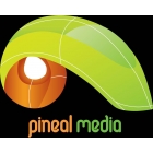 CÔNG TY TNHH THƯƠNG MẠI DỊCH VỤ TRUYỀN THÔNG PINEAL
